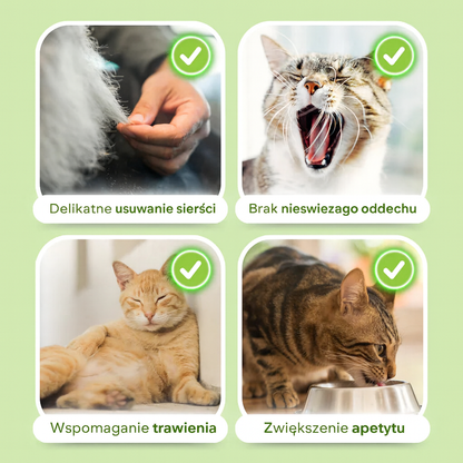PetPal – Przysmaki na Kłaczki (Zestaw 6 szt.)