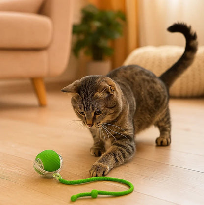 Mistrz Zabawy – Ulubiona zabawka dla psów i kotów