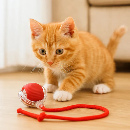 Mistrz Zabawy – Ulubiona zabawka dla psów i kotów